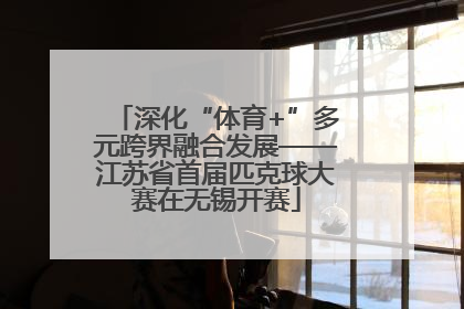 深化“体育+”多元跨界融合发展——江苏省首届匹克球大赛在无锡开赛