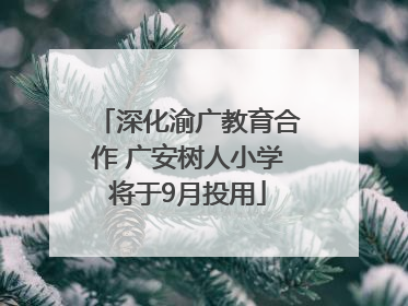 深化渝广教育合作 广安树人小学将于9月投用