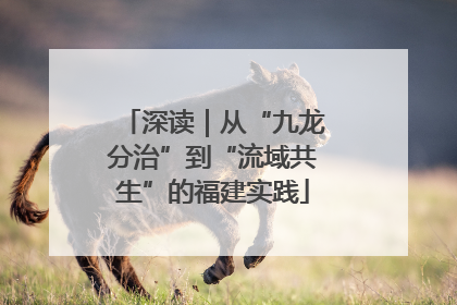 深读｜从“九龙分治”到“流域共生”的福建实践