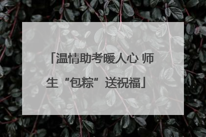 温情助考暖人心 师生“包粽”送祝福