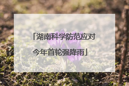 湖南科学防范应对今年首轮强降雨