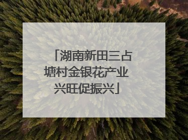 湖南新田三占塘村金银花产业兴旺促振兴