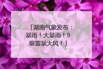 湖南气象发布：暴雨！大暴雨！9级雷暴大风！