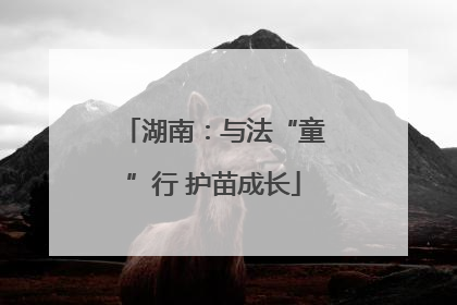 湖南：与法“童”行 护苗成长