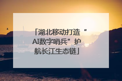 湖北移动打造“AI数字哨兵”护航长江生态链