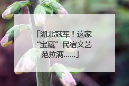 湖北冠军！这家“宝藏”民宿文艺范拉满……
