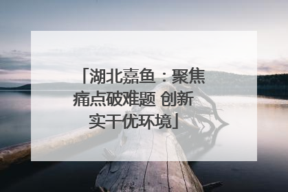 湖北嘉鱼：聚焦痛点破难题 创新实干优环境