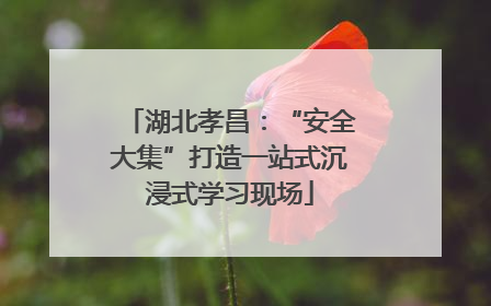 湖北孝昌：“安全大集”打造一站式沉浸式学习现场