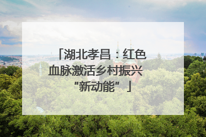 湖北孝昌：红色血脉激活乡村振兴“新动能”