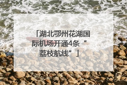 湖北鄂州花湖国际机场开通4条“荔枝航线”