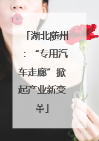 湖北随州：“专用汽车走廊”掀起产业新变革