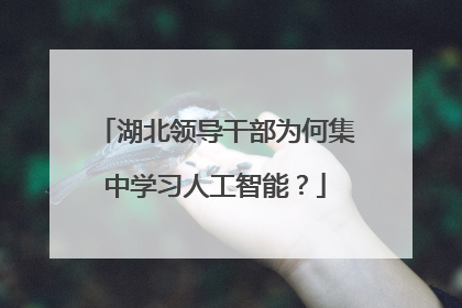 湖北领导干部为何集中学习人工智能？