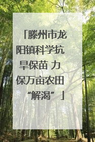 滕州市龙阳镇科学抗旱保苗 力保万亩农田“解渴”