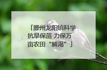 滕州龙阳镇科学抗旱保苗 力保万亩农田“解渴”