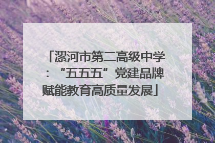 漯河市第二高级中学：“五五五”党建品牌赋能教育高质量发展