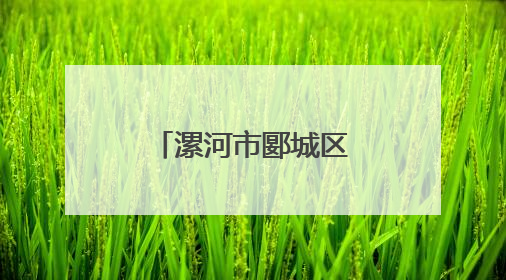 漯河市郾城区：驻村第一书记王元明带领群众走出致富路