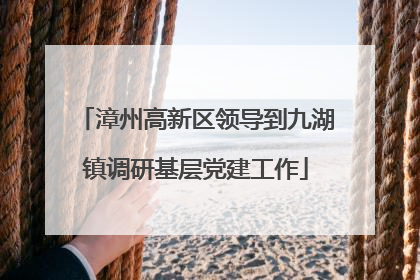 漳州高新区领导到九湖镇调研基层党建工作