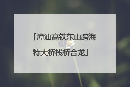 漳汕高铁东山跨海特大桥栈桥合龙