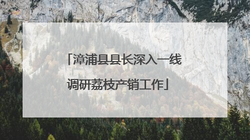 漳浦县县长深入一线调研荔枝产销工作