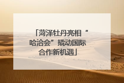 菏泽牡丹亮相“哈洽会”撬动国际合作新机遇