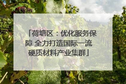 荷塘区：优化服务保障 全力打造国际一流硬质材料产业集群