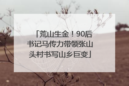 荒山生金！90后书记马传力带领张山头村书写山乡巨变