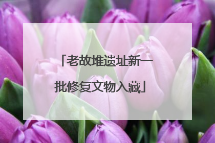 老故堆遗址新一批修复文物入藏