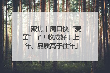 聚焦丨周口快“麦罢”了！收成好于上年、品质高于往年