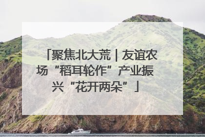 聚焦北大荒｜友谊农场“稻耳轮作”产业振兴“花开两朵”