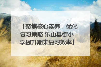 聚焦核心素养，优化复习策略 乐山县街小学提升期末复习效率