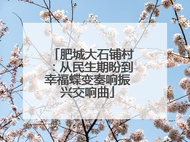 肥城大石铺村：从民生期盼到幸福蝶变奏响振兴交响曲