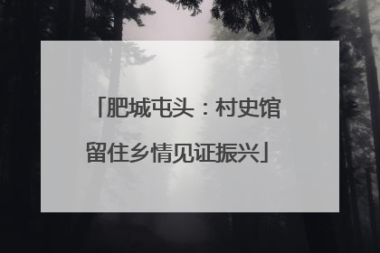 肥城屯头：村史馆留住乡情见证振兴