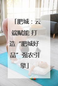 肥城：云端赋能 打造“肥城好品”强农引擎