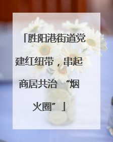 胜阳港街道党建红纽带，串起商居共治 “烟火圈”