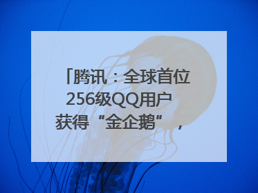 腾讯：全球首位256级QQ用户获得“金企鹅”，送限量版神秘惊喜等礼物