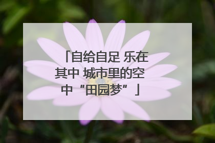 自给自足 乐在其中 城市里的空中“田园梦”