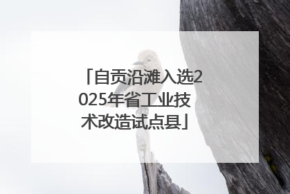 自贡沿滩入选2025年省工业技术改造试点县