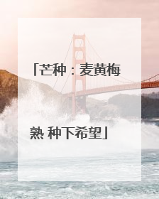 芒种：麦黄梅熟 种下希望