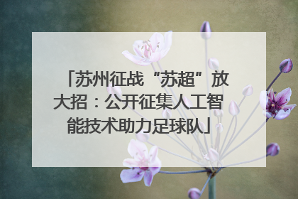 苏州征战“苏超”放大招：公开征集人工智能技术助力足球队