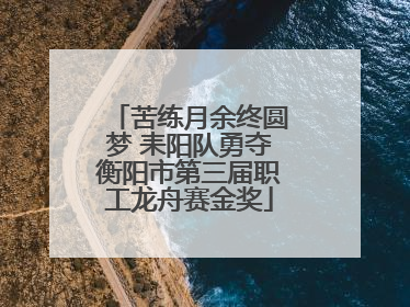苦练月余终圆梦 耒阳队勇夺衡阳市第三届职工龙舟赛金奖