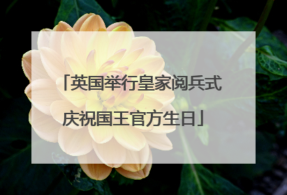 英国举行皇家阅兵式庆祝国王官方生日