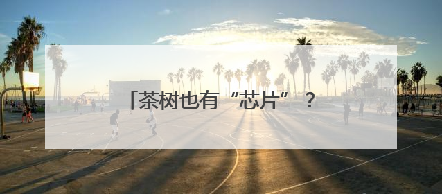 茶树也有“芯片”？守护者是他们……