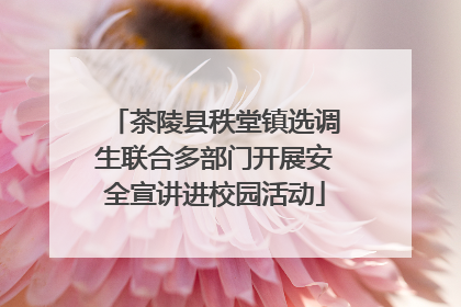 茶陵县秩堂镇选调生联合多部门开展安全宣讲进校园活动