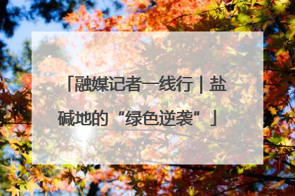 融媒记者一线行｜盐碱地的“绿色逆袭”