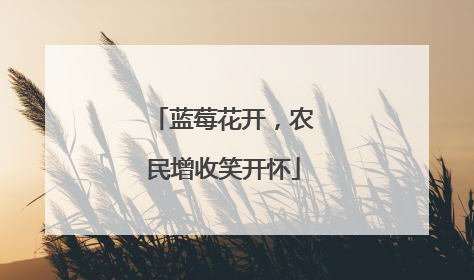 蓝莓花开，农民增收笑开怀