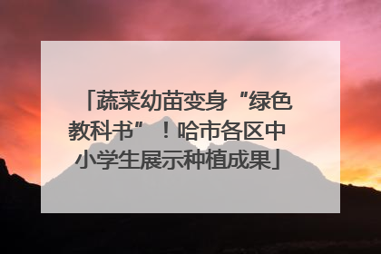 蔬菜幼苗变身“绿色教科书”！哈市各区中小学生展示种植成果