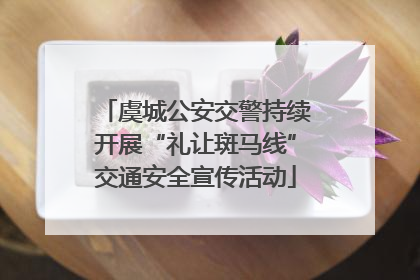 虞城公安交警持续开展“礼让斑马线”交通安全宣传活动