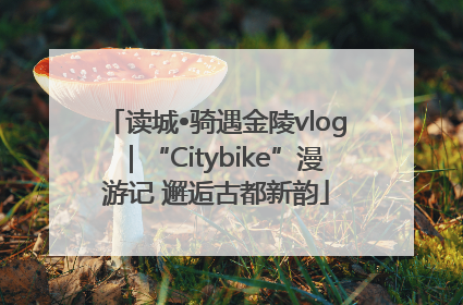 读城•骑遇金陵vlog｜“Citybike”漫游记 邂逅古都新韵