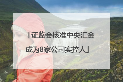 证监会核准中央汇金成为8家公司实控人
