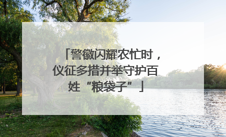 警徽闪耀农忙时，仪征多措并举守护百姓“粮袋子”